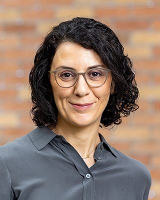 Retrato de Hannaneh Hajishirzi